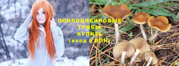твердый Нефтекумск
