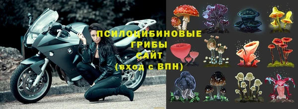 не бодяженный Нея