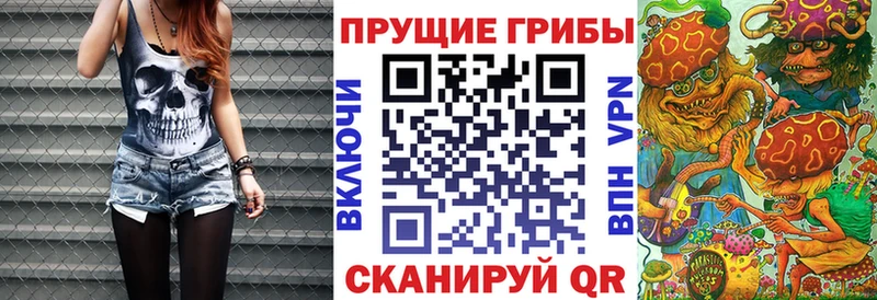Галлюциногенные грибы мицелий  купить закладку  кракен вход  Асбест 