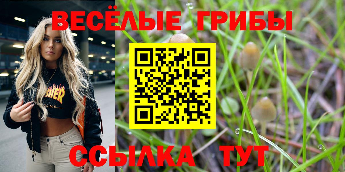 Псилоцибиновые грибы ЛСД Асбест