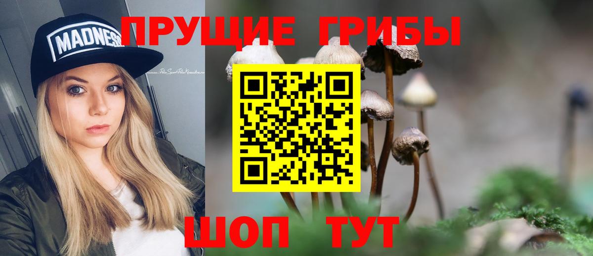 Галлюциногенные грибы GOLDEN TEACHER  Асбест  Псилоцибиновые грибы GOLDEN TEACHER 